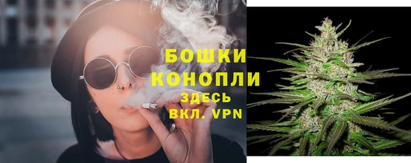 дурь Богородицк