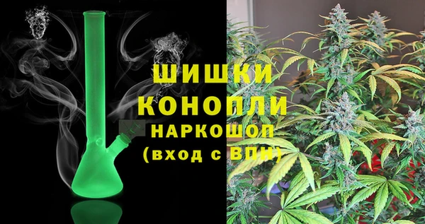 спиды Богородск
