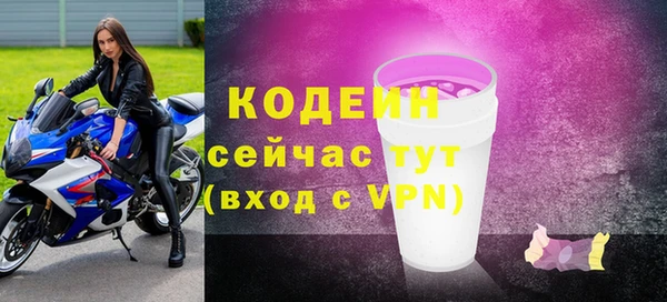 спиды Богородск