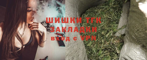 спиды Богородск