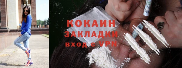 дурь Богородицк